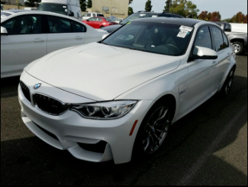 Crappy Auction Photo
